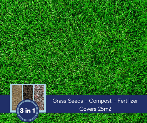 Shady Green Lawn Seed